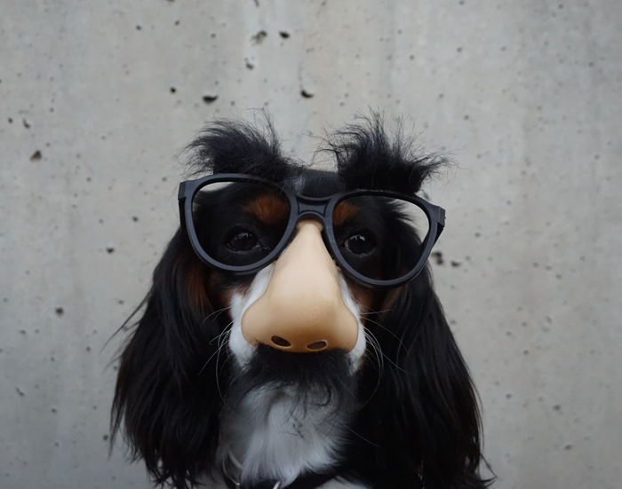 I’m Funny (That’s my Opinion)