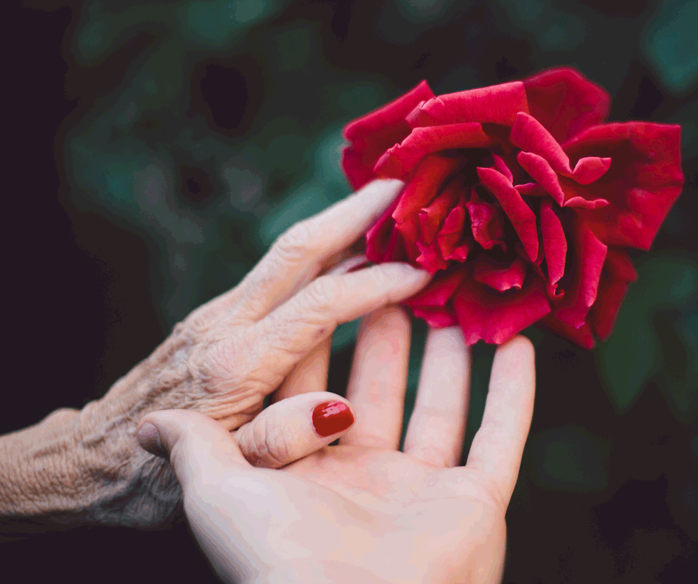 The ‘Nice’ Woman Just Left