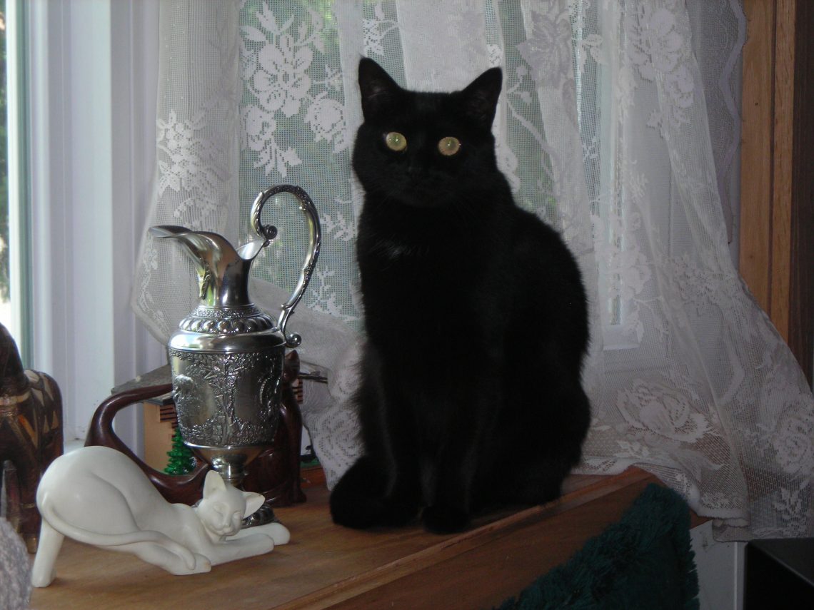 Give It Thought Before You Dive In