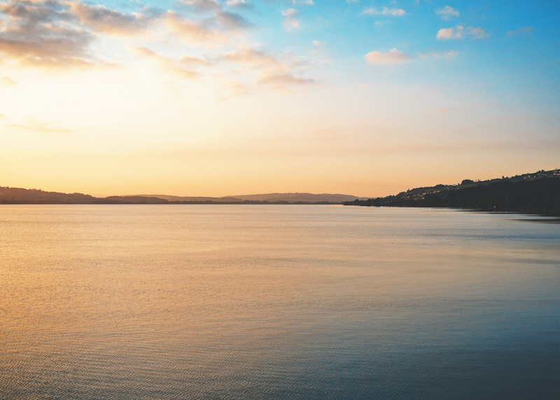 For Those Who Grieve (Including Me)                                               