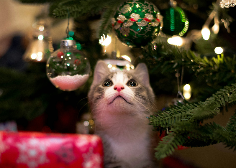 They are upon us…The Holidays